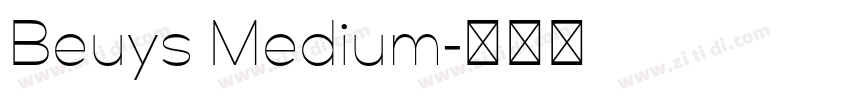 Beuys Medium字体转换